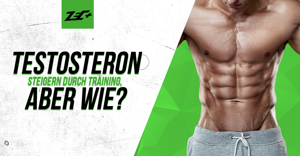 Testosteron steigern durch Training, aber wie?