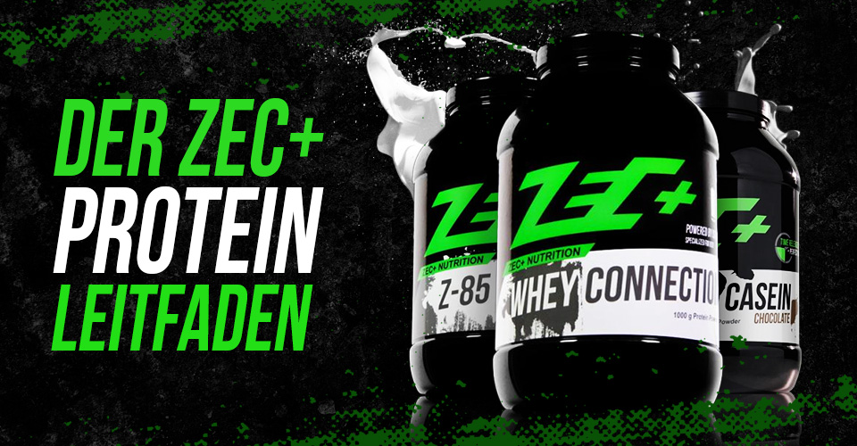 zecplus_blog_proteinwhey