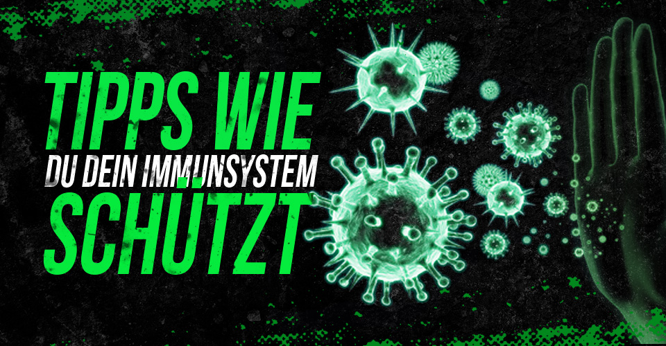 zecplus_blog_immunsystem