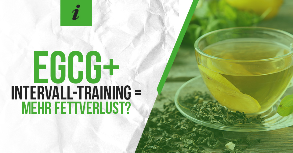EGCG + Intervall-Training = mehr Fettverlust?